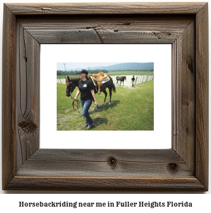 horseback riding near me in Fuller Heights, Florida